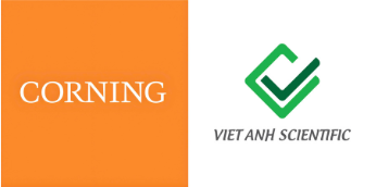 Hội Tế Bào Gốc Thành Phố Hồ Chí Minh_CORNING VIET ANH SCIENTIFIC