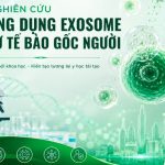 NGHIÊN CỨU ỨNG DỤNG EXOSOME TỪ TẾ BÀO GỐC NGƯỜI